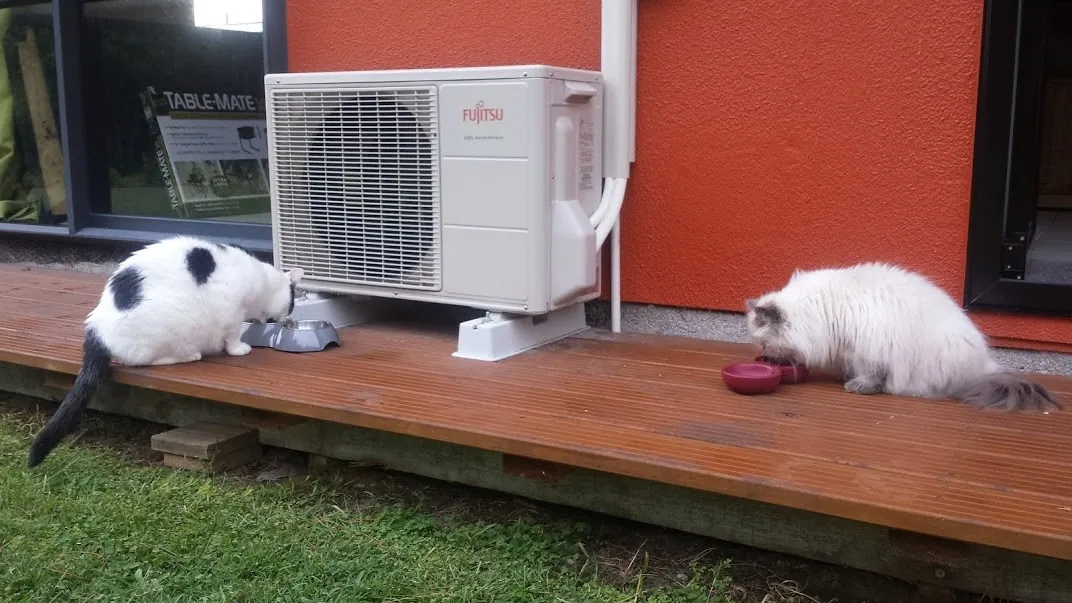 C16 almost besties marshall n sherlock eating breakfast casuarina dr 16 mar 2018